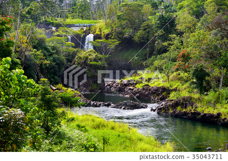 Majesitc Pee Pee Falls waterfall in Hilo Majesitc Pee Pee Falls waterfall in Hilo 35043711