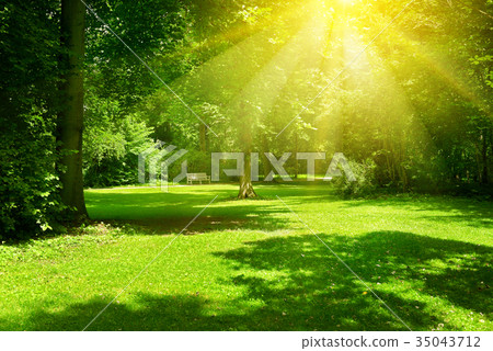 Bright sunny day in park.   35043712