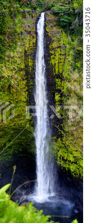 Majestic Akaka Falls waterfall Majestic Akaka Falls waterfall 35043716