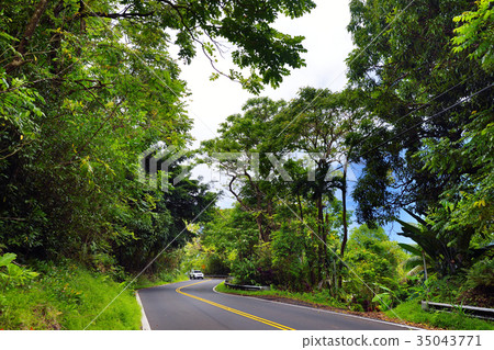 Famous Road to Hana 35043771