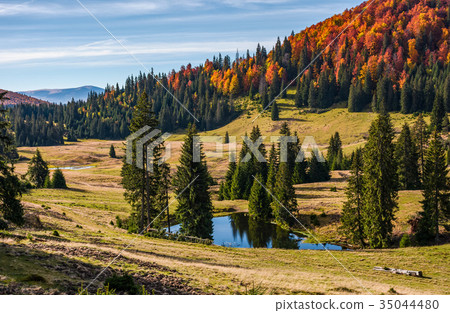 Pond in Carpathian mountains in autumn Pond in Carpathian mountains in autumn 35044480