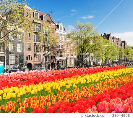 Houses of Amsterdam, Netherlands Houses of Amsterdam, Netherlands 35044908