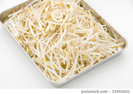 Bean sprouts 35045602