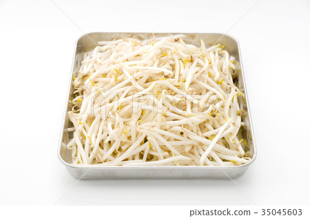 Bean sprouts 35045603