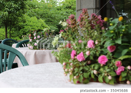 Kuroda Herb Garden Kuroda Herb Garden 35045686