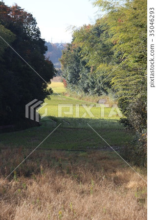 Country landscape 35046293