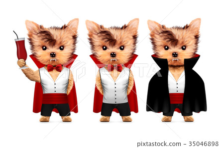 Funny Dracula. Halloween and Dead day concept. 35046898