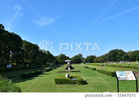 所澤紀念公園廣場 35047073