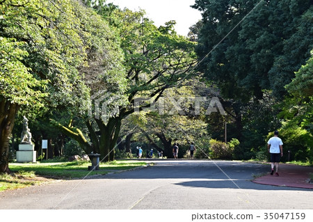 People who walk in Tokorozawa Memorial Park 35047159
