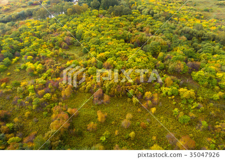 aerial shot of colorful autumn forest landscape aerial shot of colorful autumn forest landscape 35047926