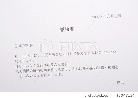 書面誓言（愛人DV） 35048134