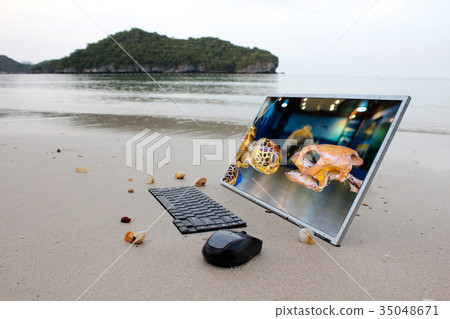Sea turtle in the computer screen on the beach Sea turtle in the computer screen on the beach 35048671