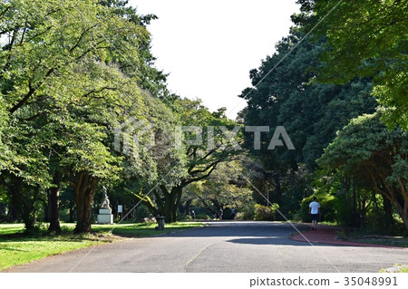 所澤飛機紀念公園 所澤飛機紀念公園 35048991