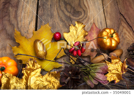 Thanksgiving  golden pumpkin, acorn and  leaves 35049001