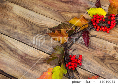 Fall ripe rowan berries door wreath, copy space 35049013