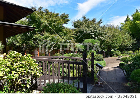 Tokorozawa紀念公園日本庭院小道路 35049051