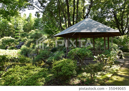 所澤航空紀念公園日本花園洞爺 35049085