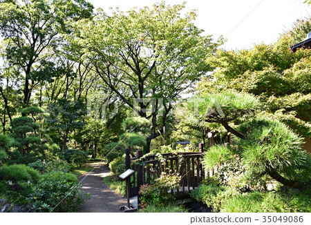 Tokorozawa紀念公園日本庭院小道路 Tokorozawa紀念公園日本庭院小道路 35049086