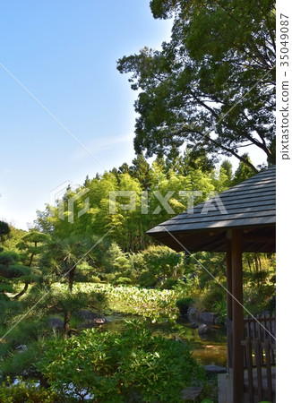 所澤航空紀念公園日本花園池塘和洞爺 35049087