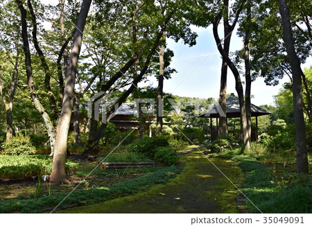 所澤紀念公園日本花園和洞爺 所澤紀念公園日本花園和洞爺 35049091