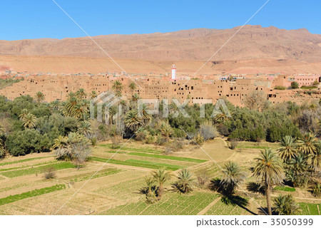 View city of Tinghir city and oasis. Morocco View city of Tinghir city and oasis. Morocco 35050399