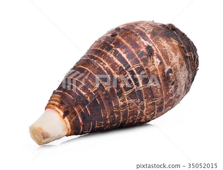 whole taro isolated on white background whole taro isolated on white background 35052015