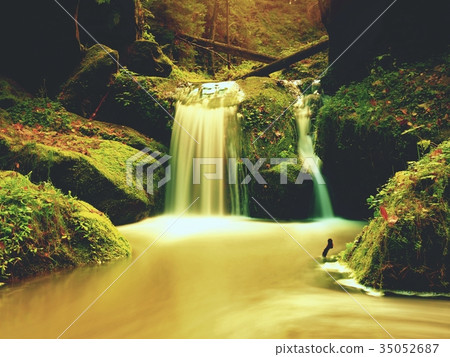 Weir in mountain stream. Colorful leaves  on stone 35052687