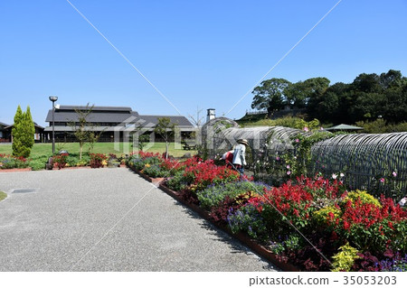 Plum Hall Sahuri Bairin Plum Hall Sahuri Bairin 35053203