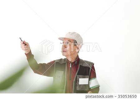 Employment of elderly people 35053650