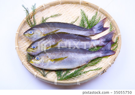 Isaki Foodstuff Isaki Foodstuff 35055750