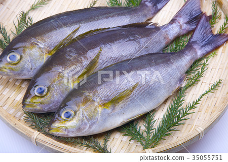 Isaki Foodstuff 35055751