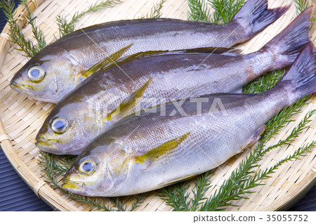 Isaki Foodstuff 35055752