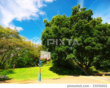 Autumn sky and basketball goal 35056002
