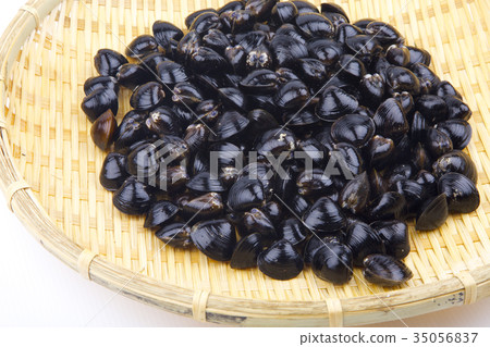 Shijimi ingredients Shijimi ingredients 35056837