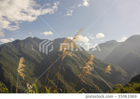 山景 山景 35061069