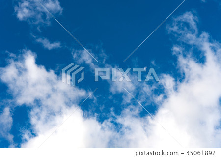 每月的某一天 35061892