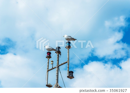 Two seagulls on the mast of the ship Two seagulls on the mast of the ship 35061927