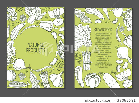 Vector illustration of a flyer of vegetables Vector illustration of a flyer of vegetables 35062581