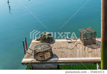 Seagull looking for food next to fishing  baskets 35063413