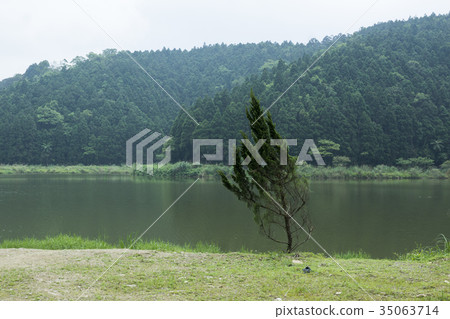 樹,樹木,湖,湖邊,湖泊,湖水,湖畔,岸邊,松柏,松樹,柏樹,松,樹葉,山 35063714