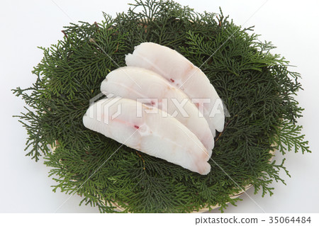 烏鴉松鼠 35064484