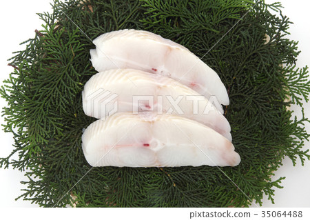 烏鴉松鼠 35064488