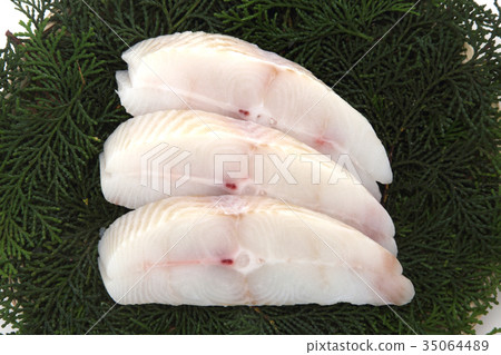 烏鴉松鼠 35064489