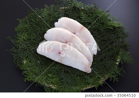 Crow squirrel Crow squirrel 35064510