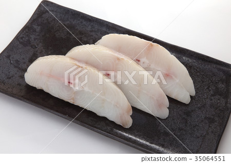 Crow squirrel 35064551