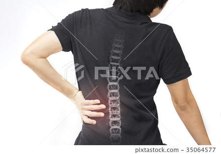 spine bones injury spine bones injury 35064577