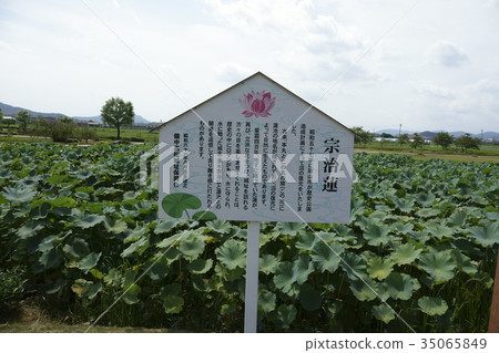 岡山縣岡山市的Binaka Takamatsu Joshi Park的Soji Ren 岡山縣岡山市的Binaka Takamatsu Joshi Park的Soji Ren 35065849
