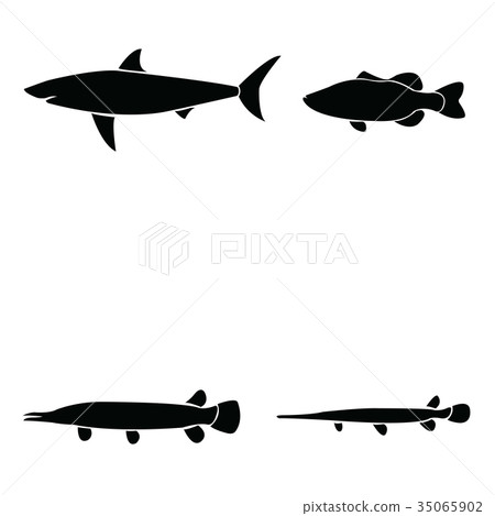 fish icon set 35065902