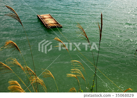 Scenery plant lake lakeside shore lakeside sunmoon lake taiwan poetry reeds tourist attraction tourism leisure floating 35068029