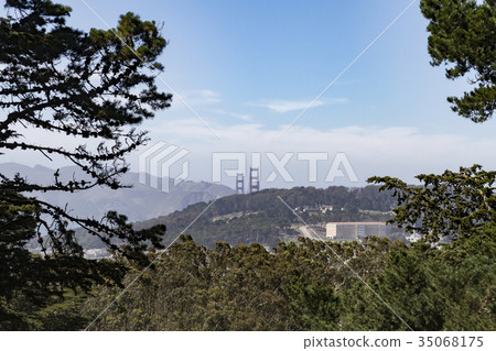 View of Golden Gate Bridge from Buena Vista Park 35068175